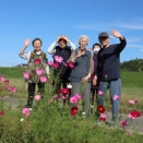 コスモスドライブ      デイサービス
