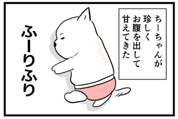 ちーちゃんっ🐾 - エッセイ