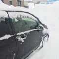 車、雪に埋まってて草