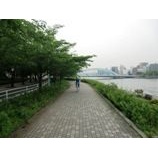 �����ϥ⡼�˥󥰥ݥ���󥰡٤β���