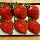 『🍓激ウマいちご発見！その名も「やよいひめ」』の画像