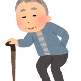 『2桁期のトップ候補は…【月組】【宙組】【宝塚】』の画像