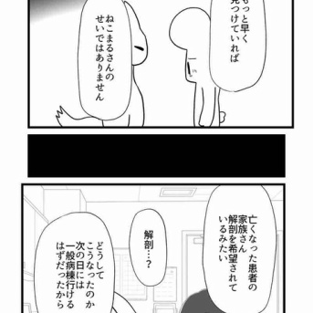【看護師漫画】英雄と呼ばれた看護師 6