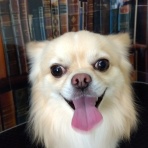 ズーズーカンパニー スタッフブログ