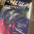 ビークワ、インドネシア便入荷
