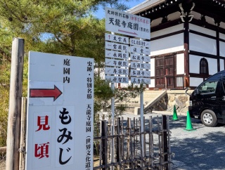 「もみじ見頃」