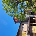 2100年まで生きられるかどうかを検証！！