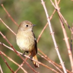 今日もワクワク♪　(#^.^#)