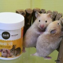 パターン違いのキンクマ入ってます。とウォレス線の向こう、カメの島へ！その7。