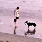 犬「これ投げて！」ビーチで知らない人たちにおねだりする
