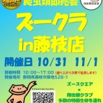 爬虫類倶楽部ファームブログ