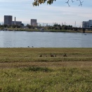 １０月最週末トレ