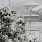 Kawakaming's 　芽華野里便り