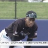 日ハム万波中正の内野守備ｗｗｗｗｗｗ