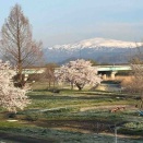 チャレンジ締切り間近・ご縁