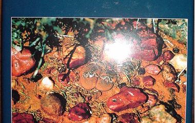 『私の参考書Vol.1』の画像