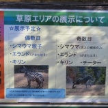『【動物ふれあい】ズーラシアに行ってきました』の画像