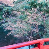 『【鎌倉観光】鎌倉のパワースポットで心の洗浄😇』の画像