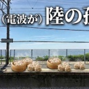 大阪～東京　東海道五十三食　食い道楽の旅　第4話