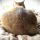 ２８０週目の秋めいて。