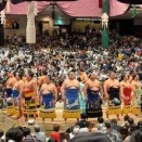 大相撲観戦