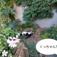 義弟がやってきた