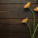 『マスク』の画像