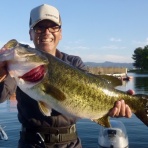 小林貸船釣具店の釣果情報