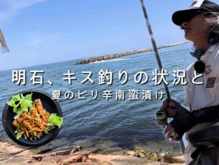 【7.26明石のキス釣り】普通に釣れば釣れるけど…夏のピリ辛南蛮漬け