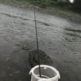 『あら！ ランドリーバスケット製造終了』の画像