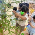 七夕🎋
