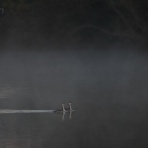 UYANのフィールドノート