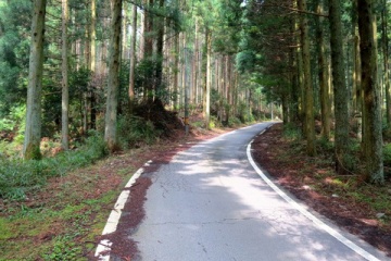 【自転車】久しぶりの自転車