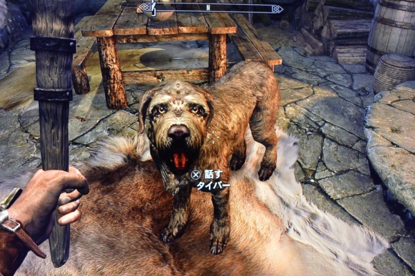 The Elder Scrolls Iv V Skyrim 攻略 人物紹介 動物