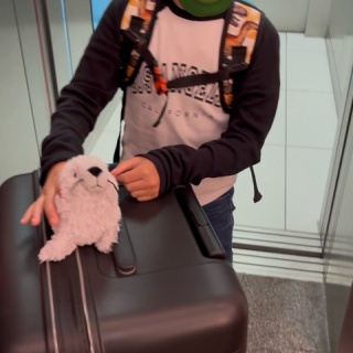 ぱんをたずねて2000里ちょい