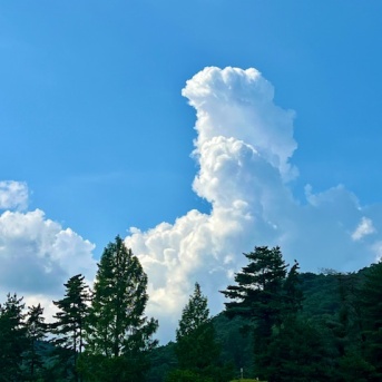 ブログを手放す。