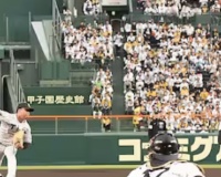 阪神タイガース　三振数エグい　17三振→16三振
