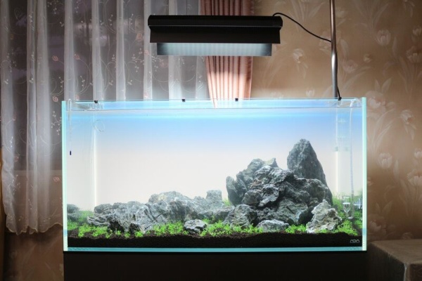 アクアマリン 水槽設置