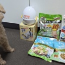 13歳のお誕生日おめでとう🎉🐶💕
