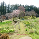飯能市の風景*青梅市の安楽寺を訪るチャリ散歩＃1