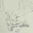 『黙示録の四騎士』第232話 "意志を受け継ぐ者たち"