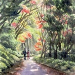 シニアから始めた透明水彩画