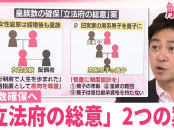 皇族数確保「立法府の総意」について第一案に反対する