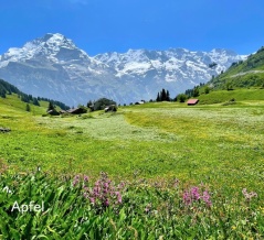 インスタグラムのフォロワー1万人を突破 ♪