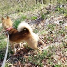 ドキッとする瞬間