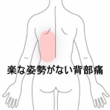 『ペットトリマーの背腰痛、楽な姿勢がとれない症状 　登別室蘭すのさき鍼灸整骨院　症例報告』の画像