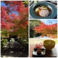 「円覚寺」の紅葉と、「弁天茶屋航」と、お寺カフェ