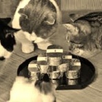 Ｍｏｏｎ　月に想いを・・