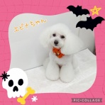 日々、ＪＡＭにあり