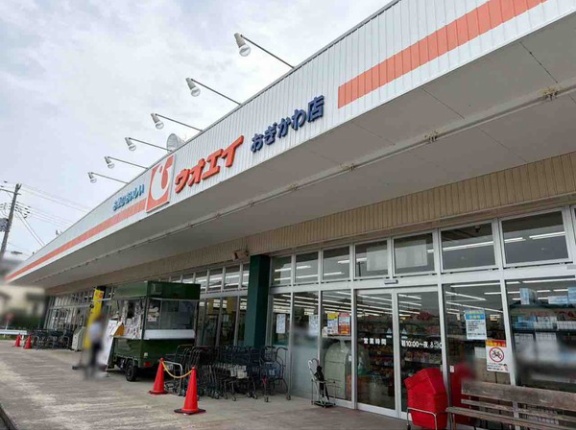 秋葉区中野『ウオエイ おぎかわ店』と西区金巻『ウオエイ 金巻店』が閉店。『クスリのアオキ』としてリニューアルオープンするらしい。